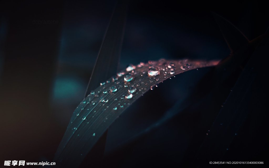 拍摄素材