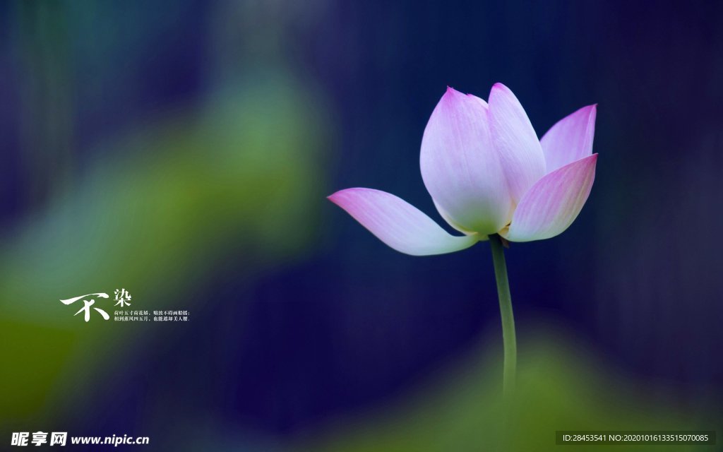 拍摄素材