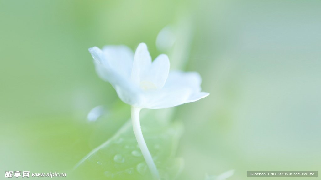 拍摄素材