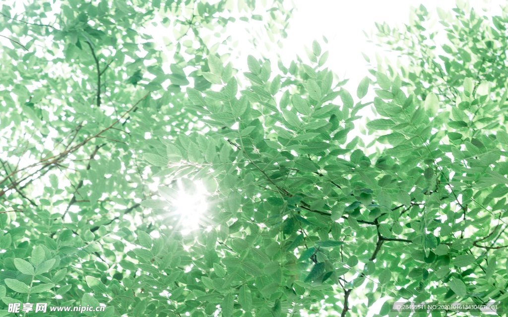 拍摄素材