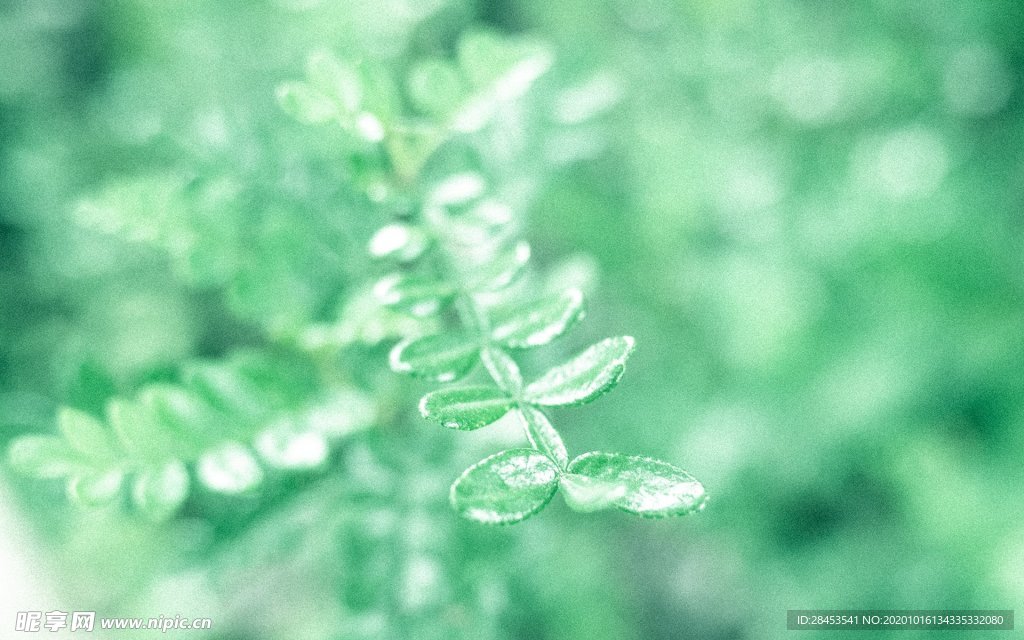 拍摄素材