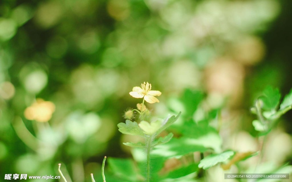 拍摄素材