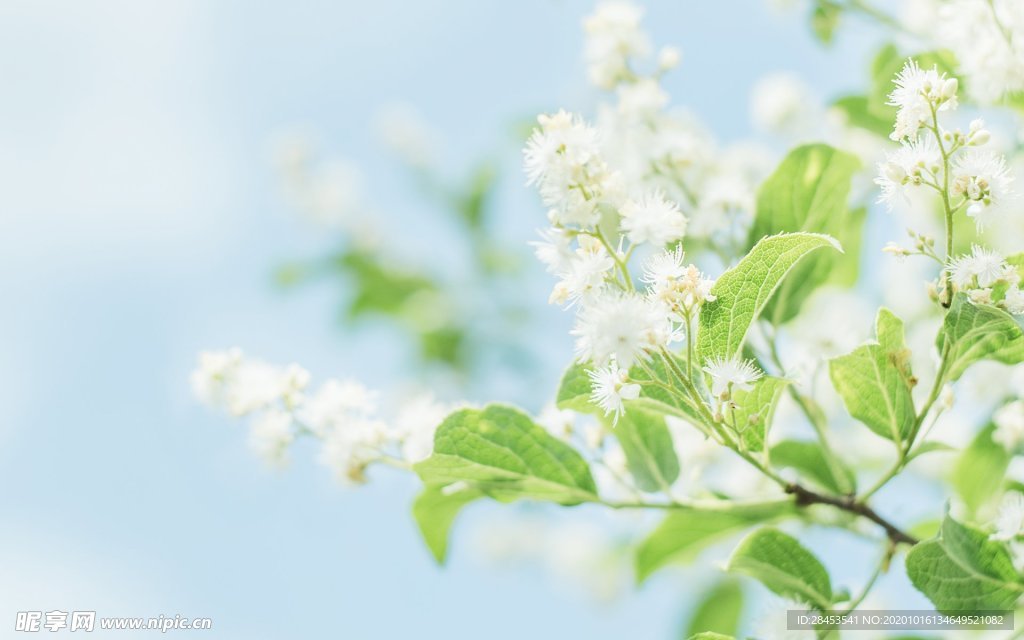 拍摄素材