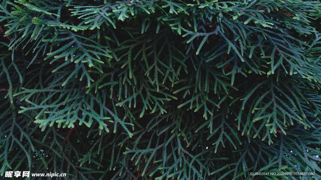 拍摄素材