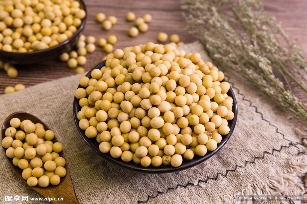 黄豆配料食材背景海报素材