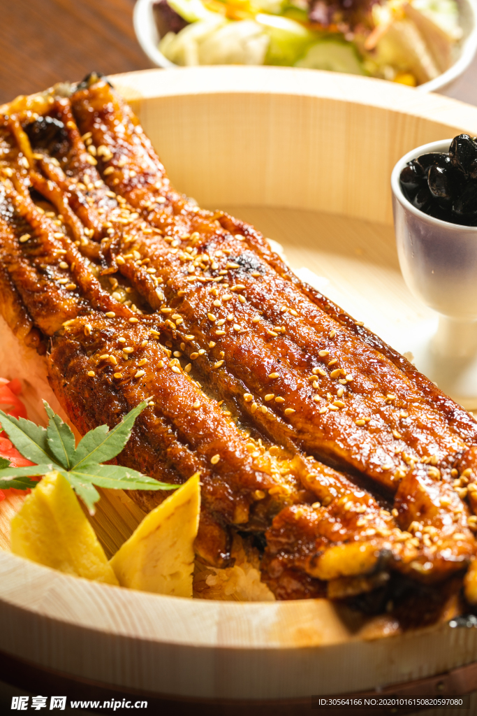 鳗鱼美食食材背景海报素材