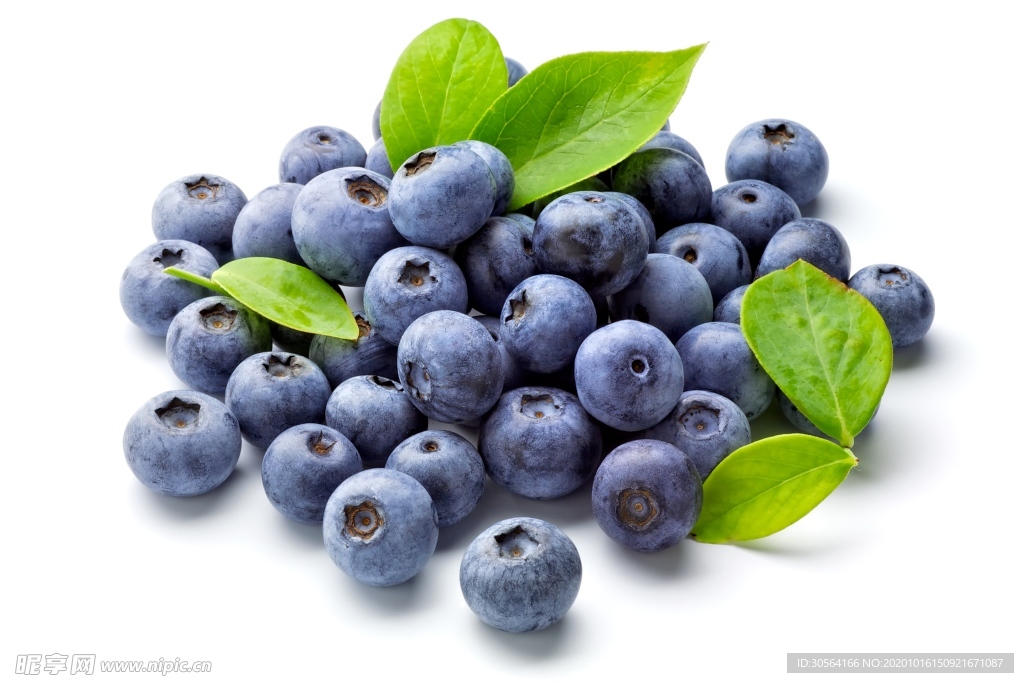 蓝莓水果果实背景海报素材