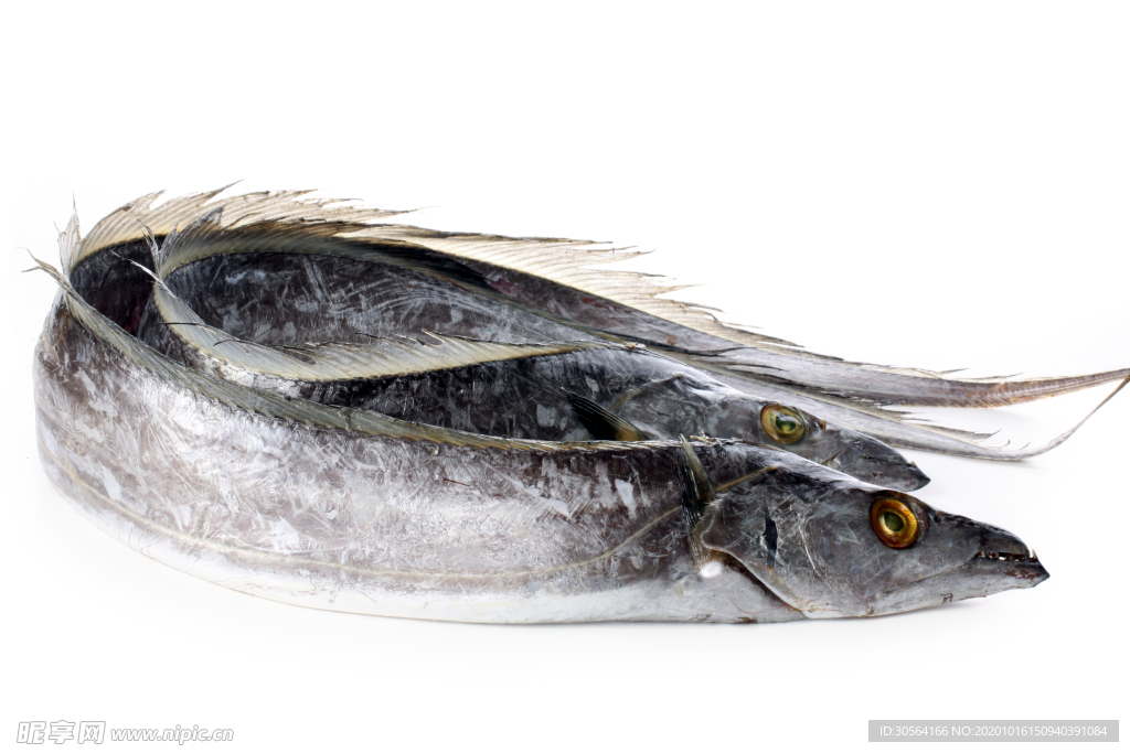 带鱼海鲜美食食材背景海报素材