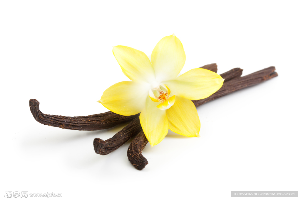 梅花牛肉干美食食材背景海报素材