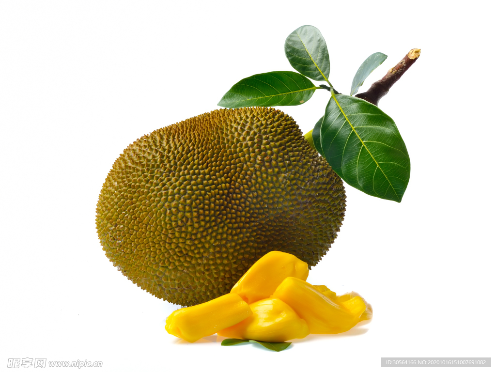 菠萝蜜水果果实背景海报素材