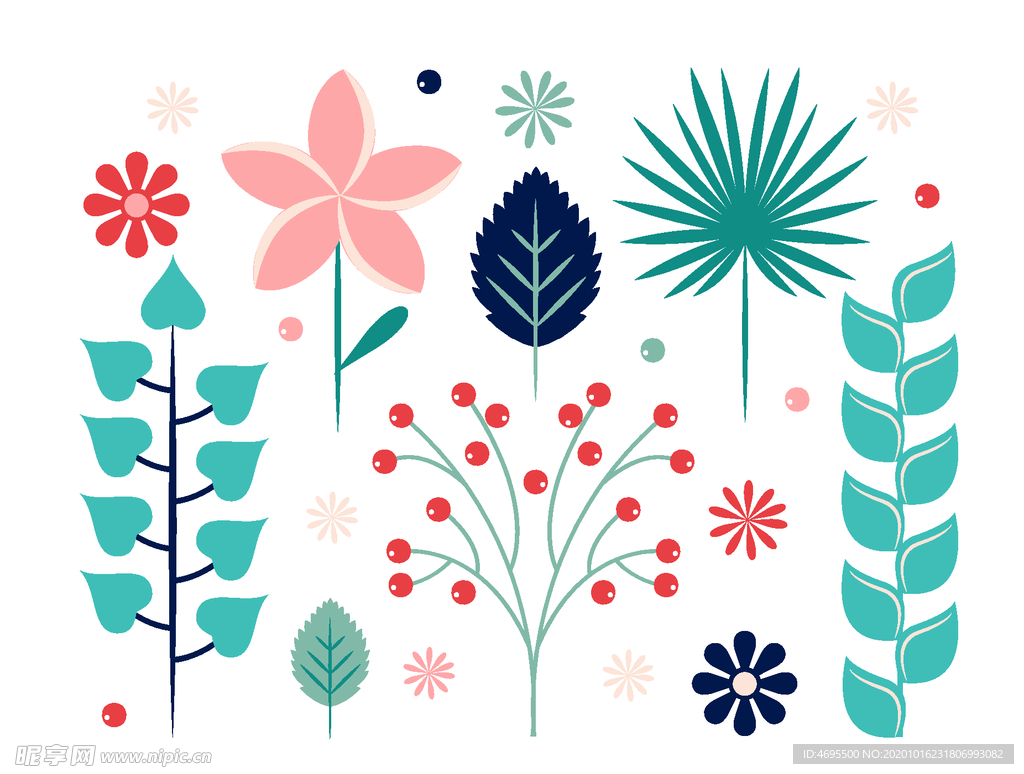 花卉 花朵 植物