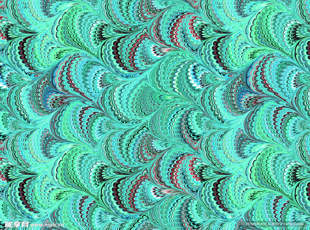 孔雀