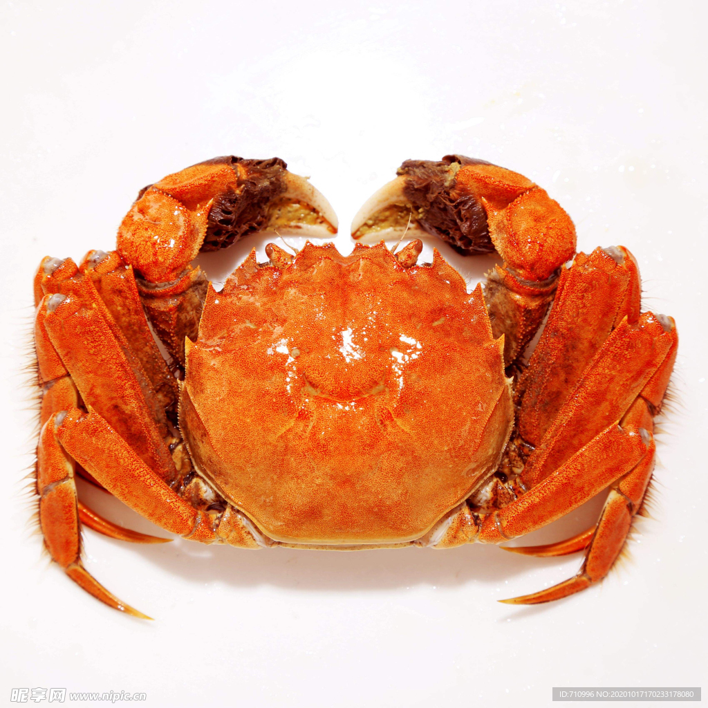 海鲜螃蟹