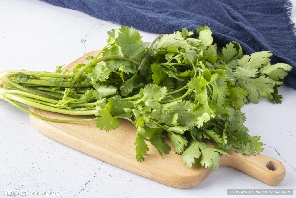 芹菜蔬菜食材背景海报素材