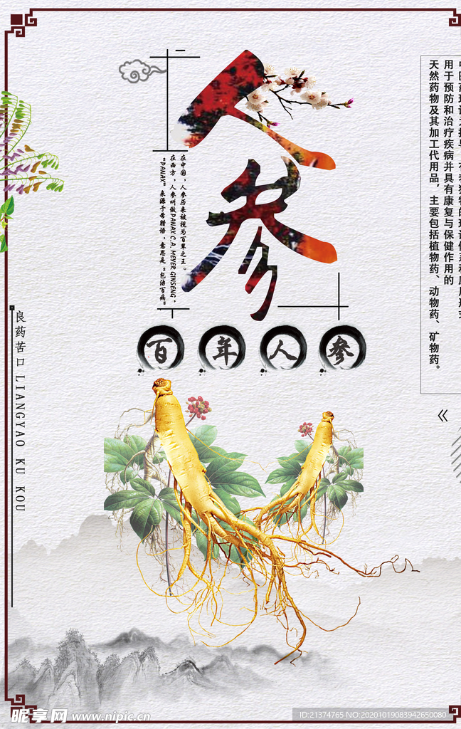 中国风人参西洋参海报