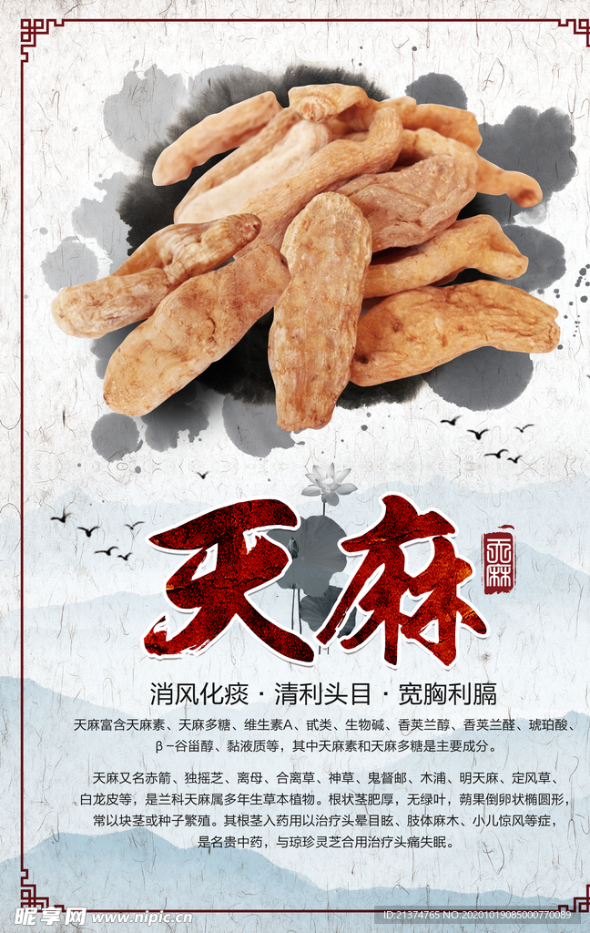 天麻名贵中药海报