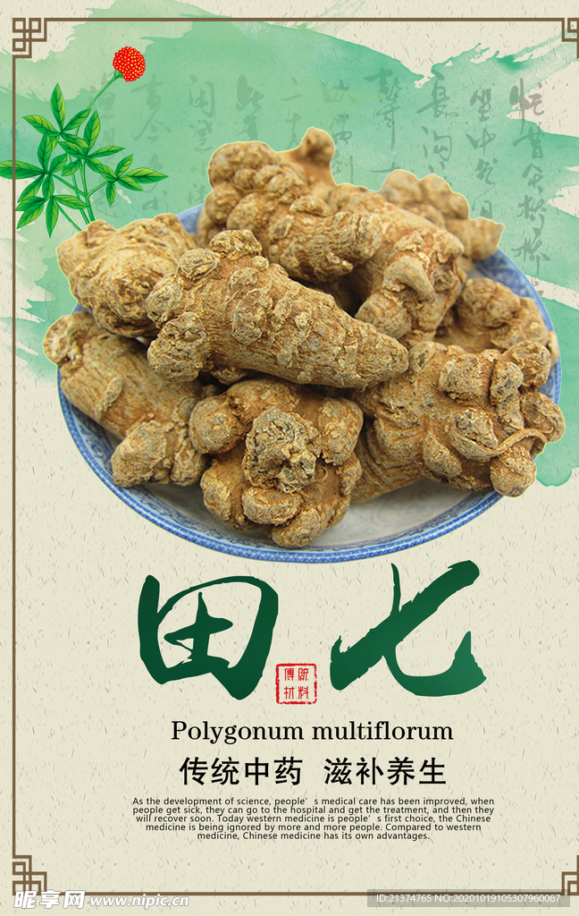 中国风田七药材海报