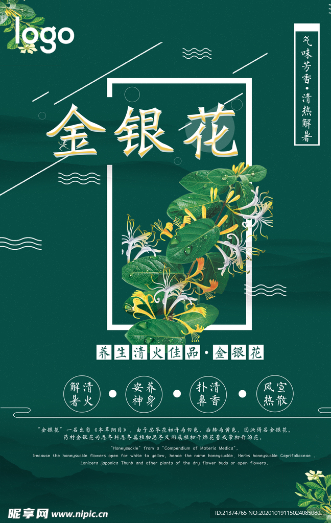 简洁药品金银花海报