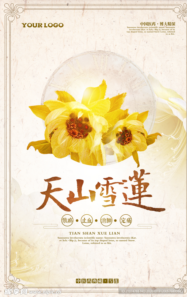 大气雪莲中草药海报