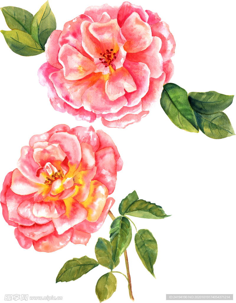 水彩花
