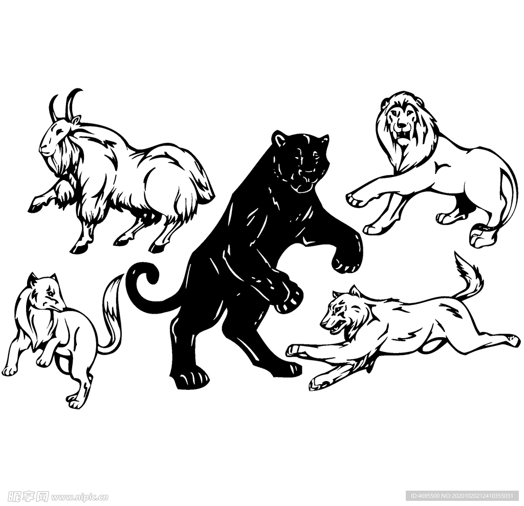 卡通手绘狮子豹子老虎