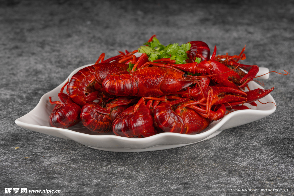 小龙虾美食食材背景海报素材