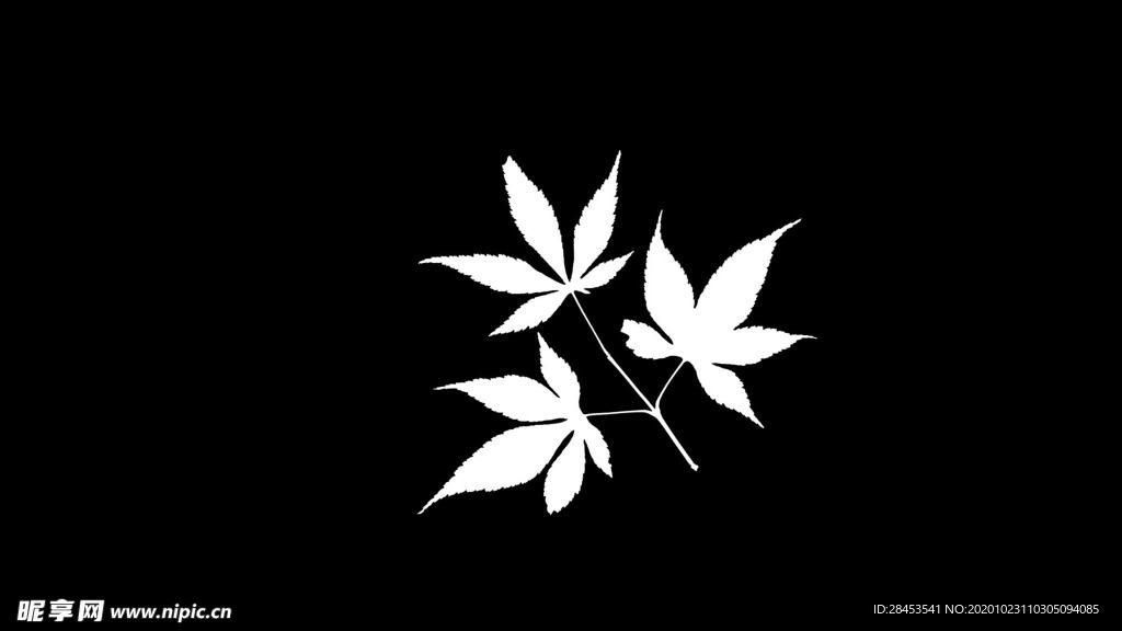 拍摄素材