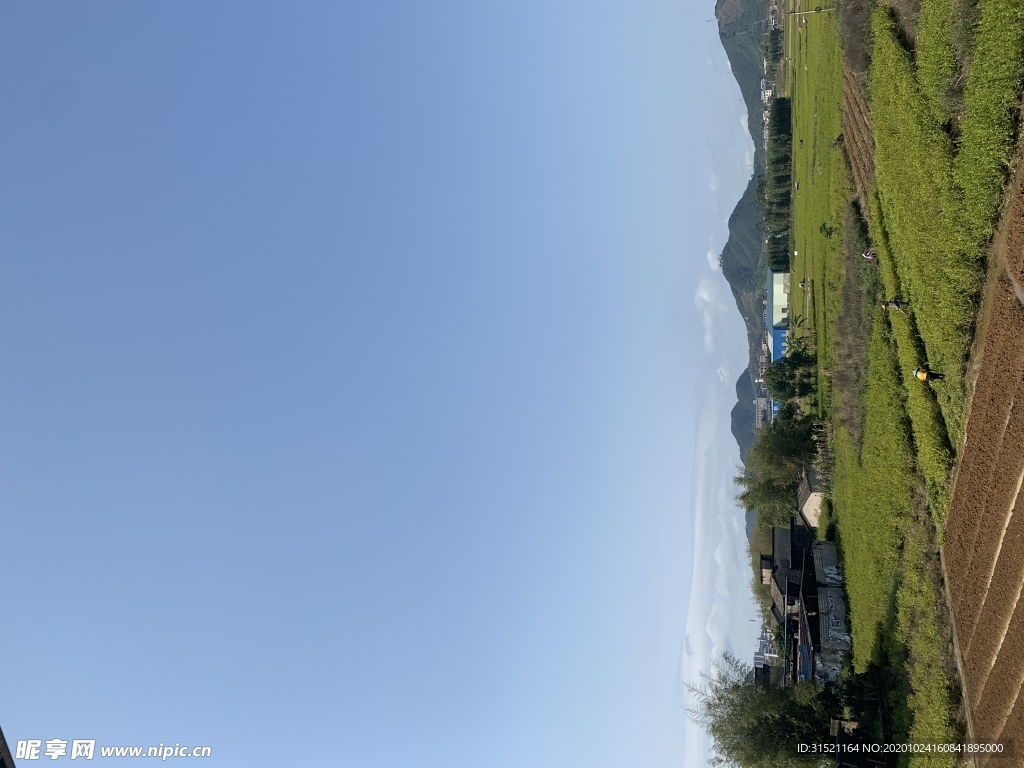 乡村农田一角清晨拍摄