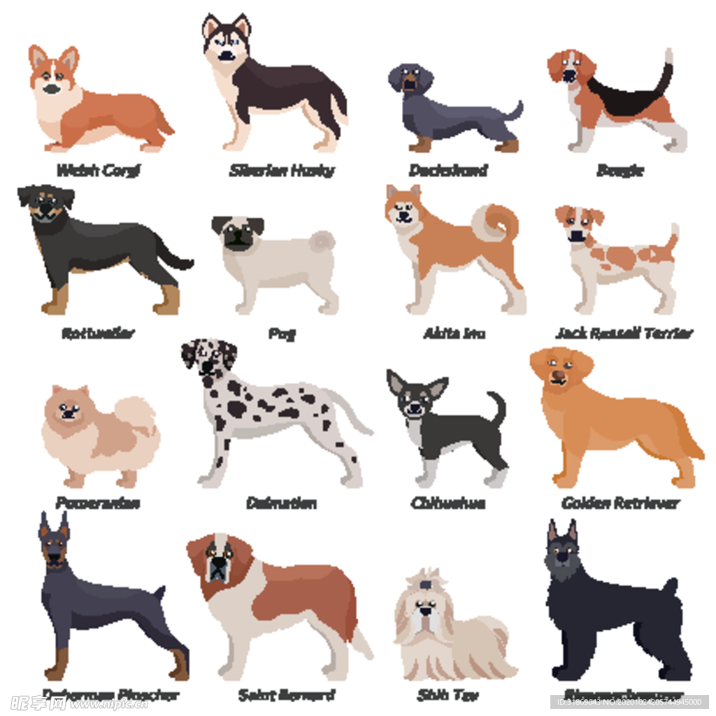 狗 DOG 动物 卡通