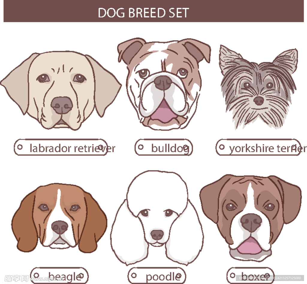 狗 DOG 动物 卡通