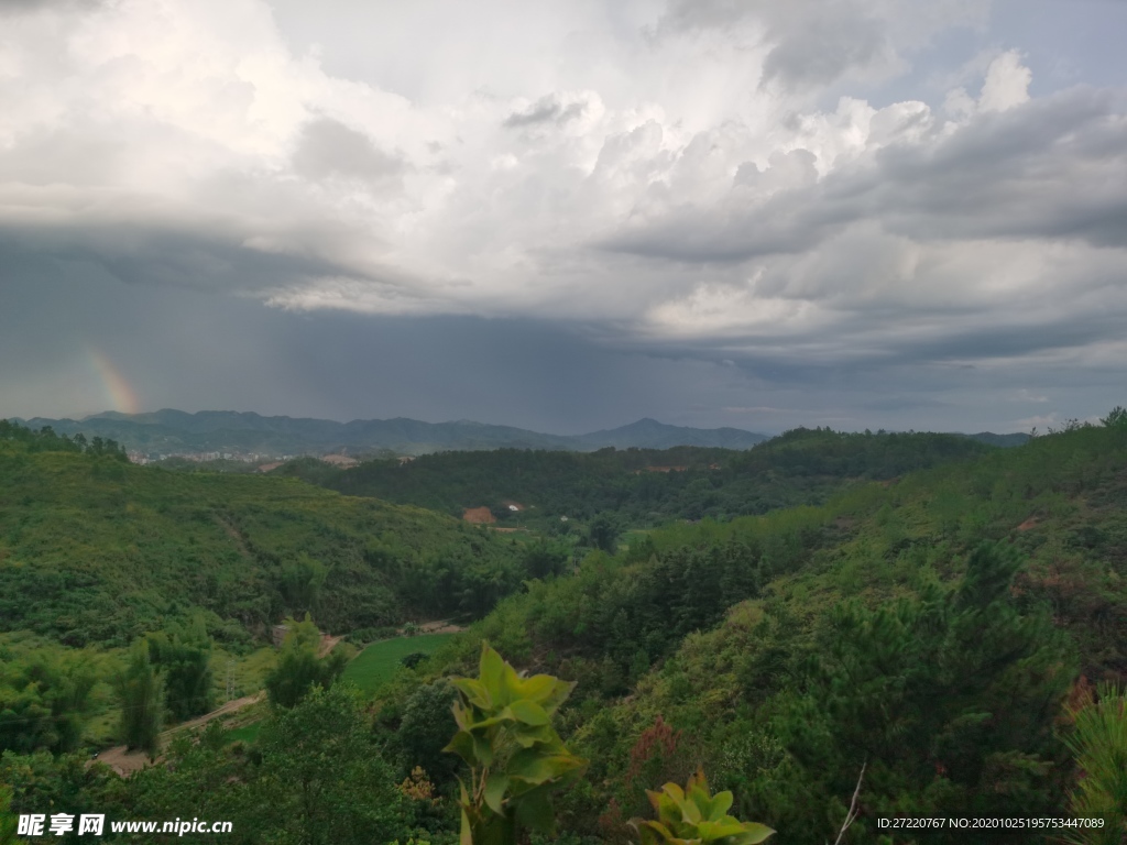绿色自然山地森林风光