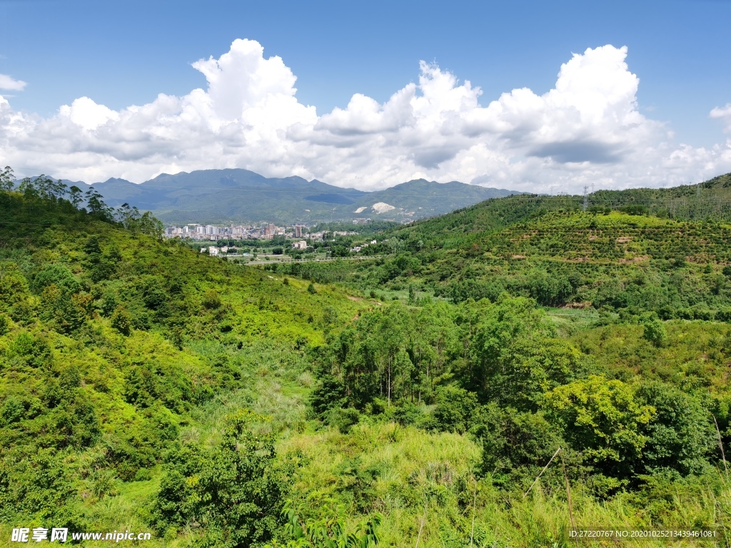 南方丘陵黄山丛林 风景