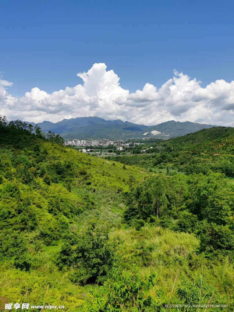 山地丛林  绿树林 白云 蓝天