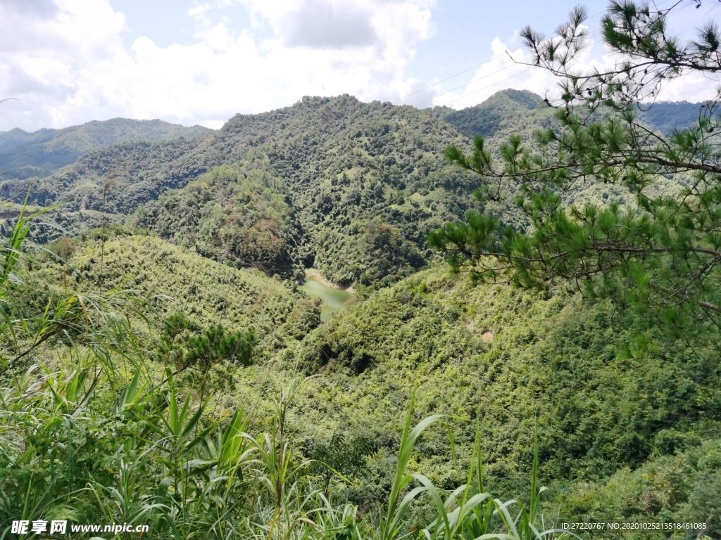 丘陵景色  山地风景  森林风