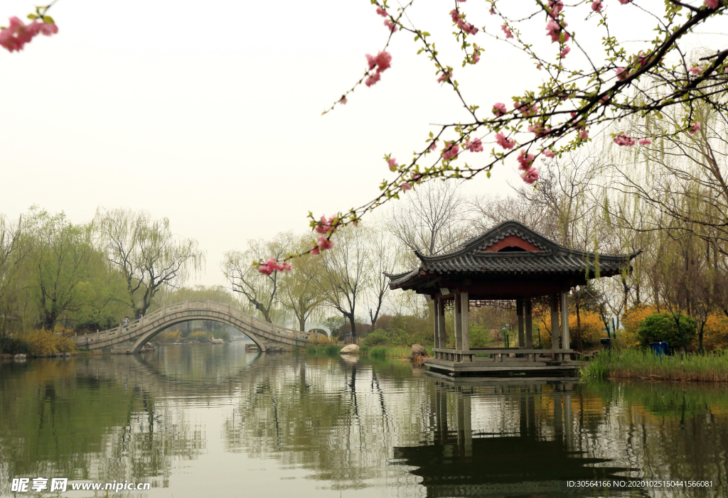 公园凉亭旅游旅行背景海报素材