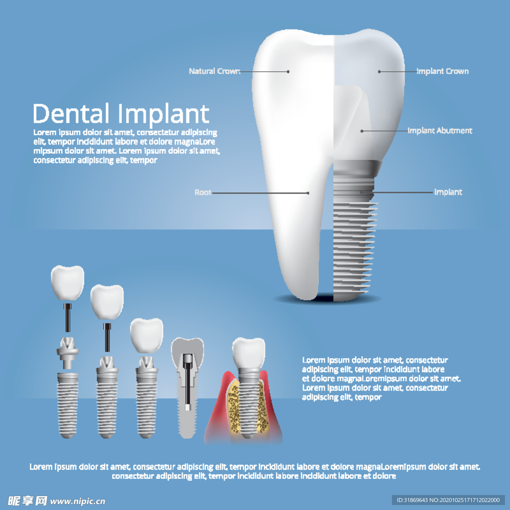 牙齿 口腔 医科