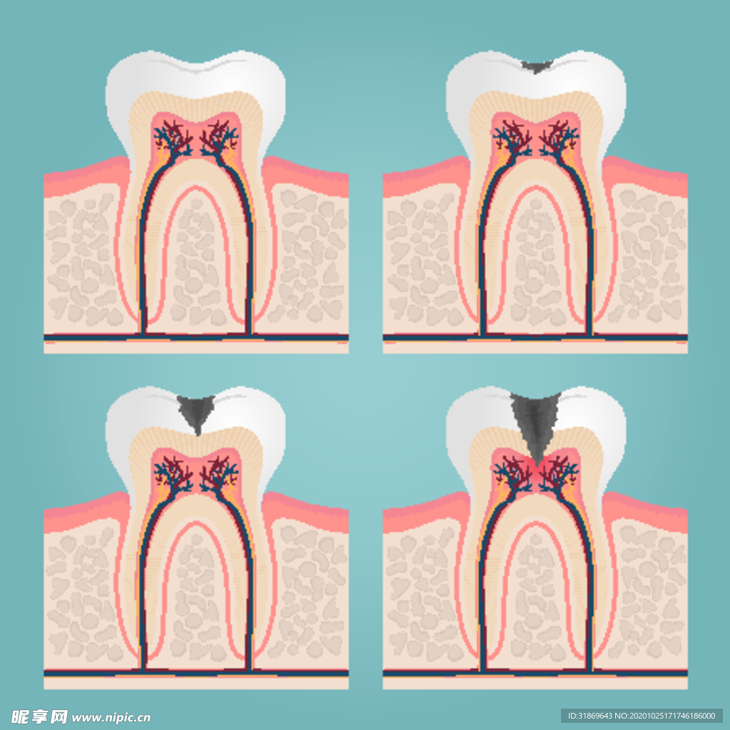 牙齿 口腔 医科