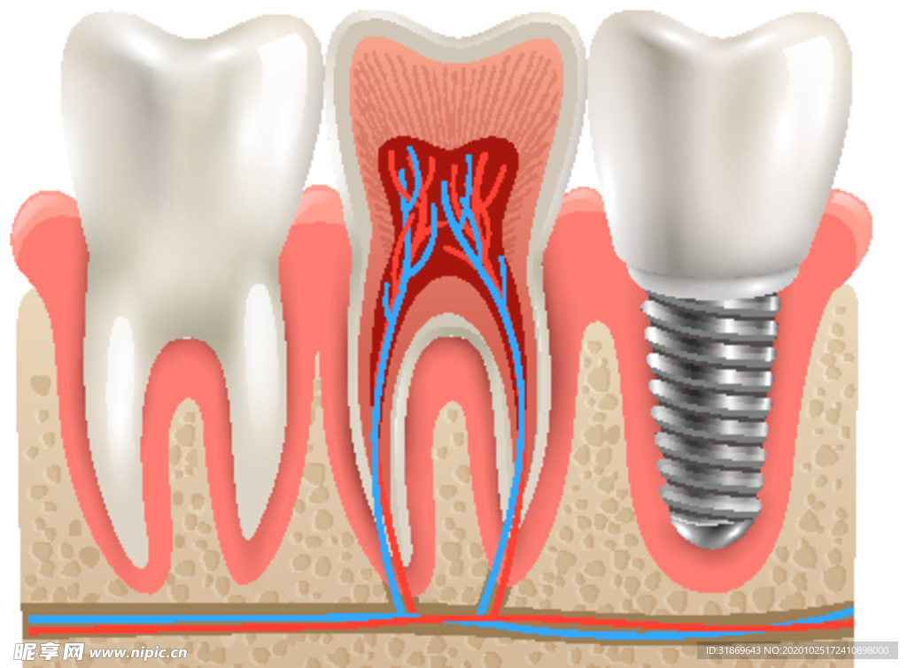 牙齿 口腔 医科