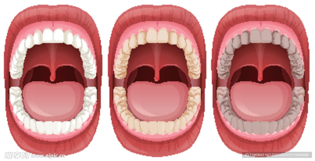 牙齿 口腔 医科