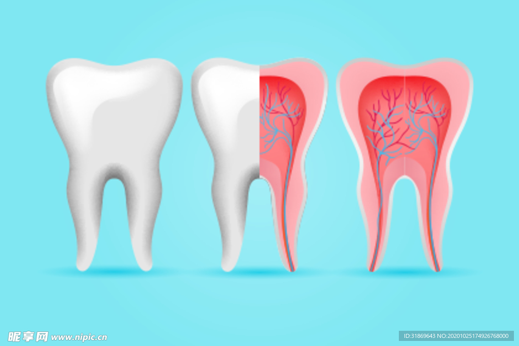 牙齿 口腔 医科