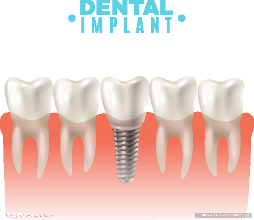 牙齿 口腔 医科
