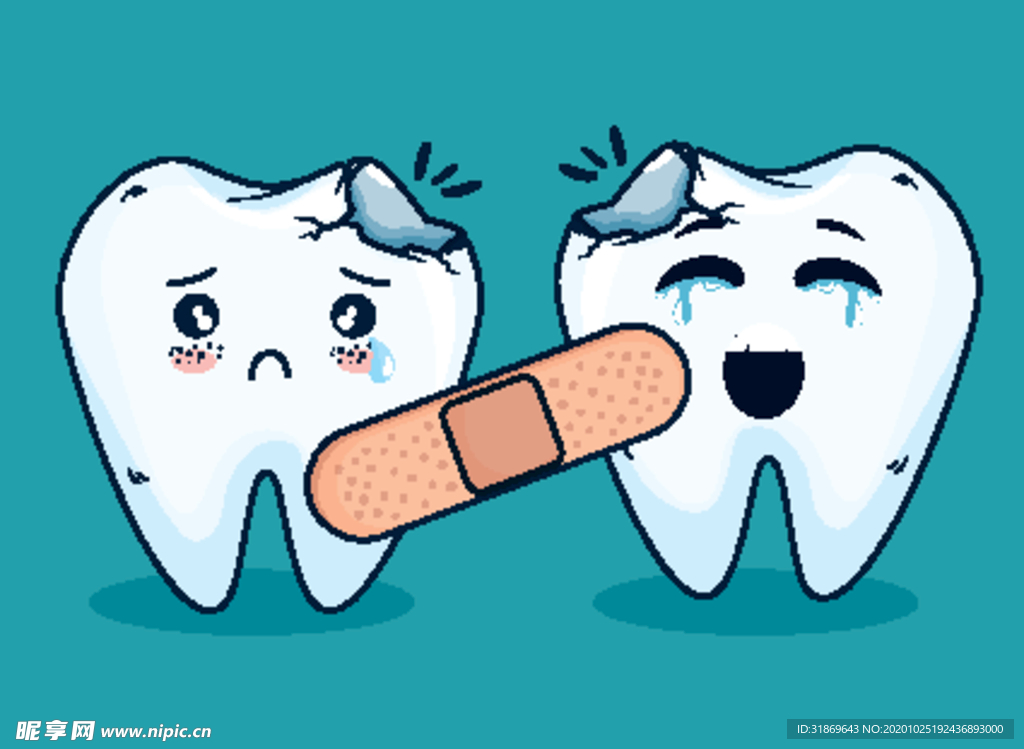 牙齿 口腔 医科