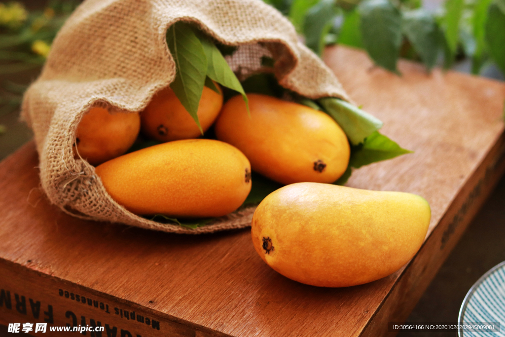 芒果水果果实背景海报素材