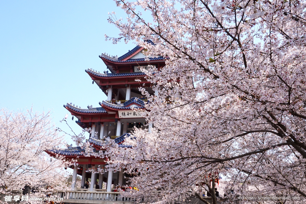 大城市建筑风景摄影