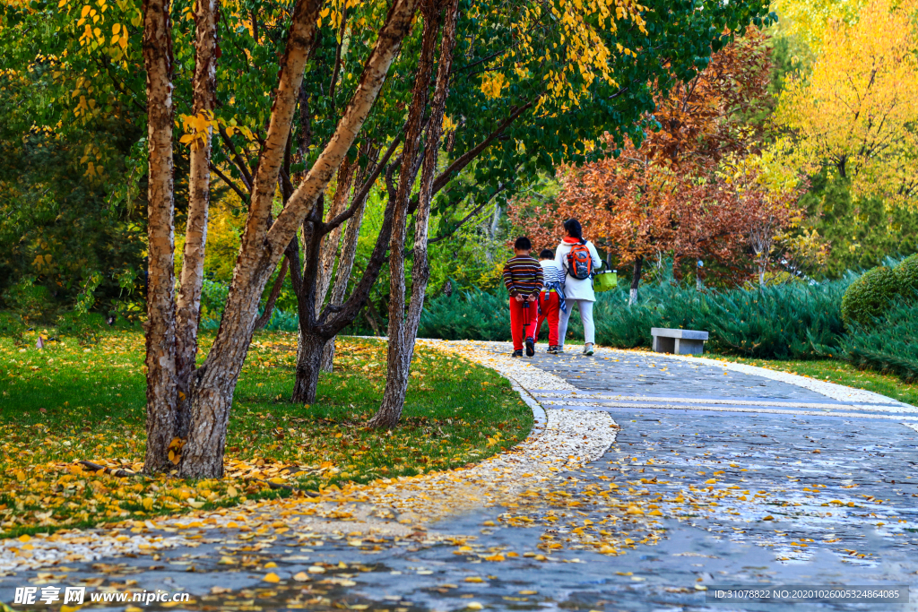 大城市建筑风景摄影