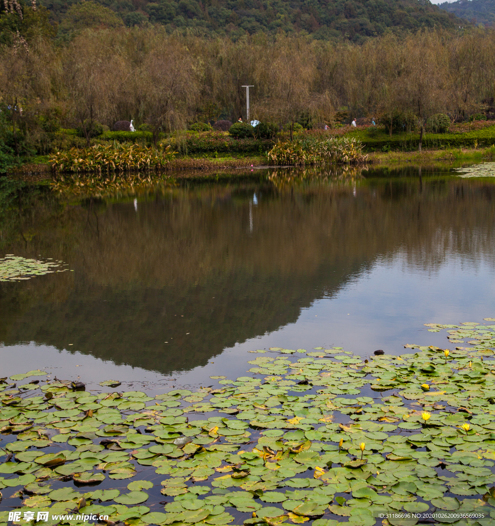 桃花岭景区