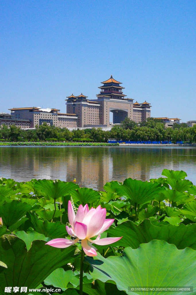 大城市建筑风景摄影