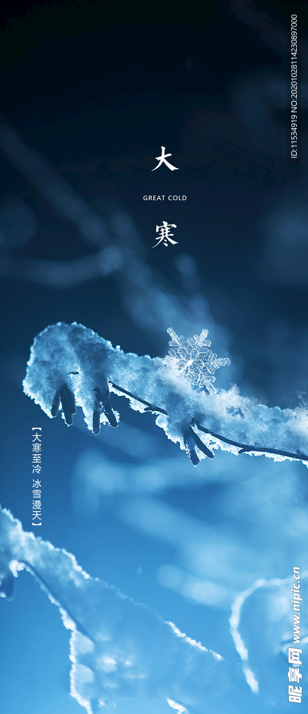 地产大寒节气海报