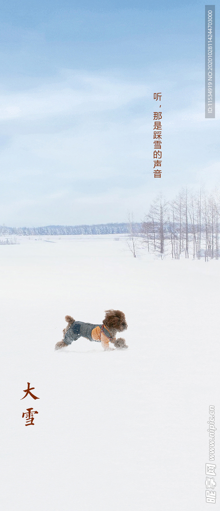 地产大雪节气海报