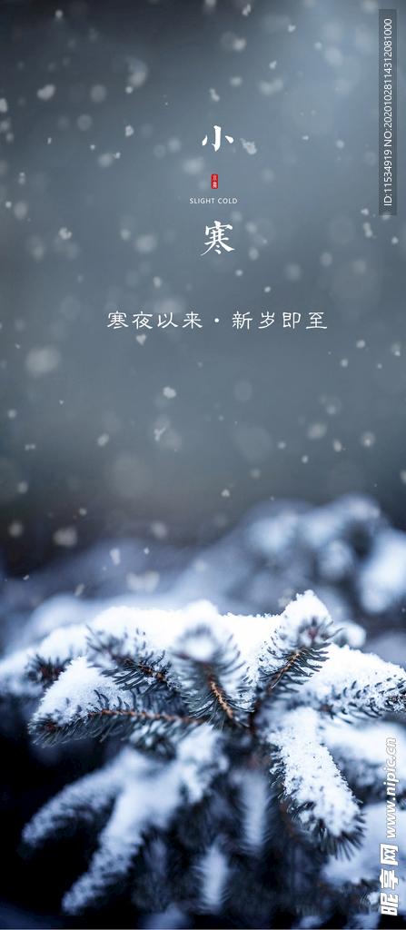 地产小寒节气海报